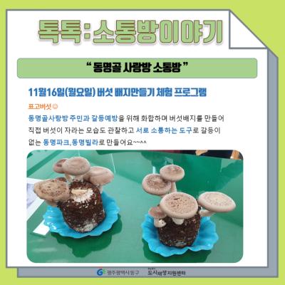 [톡톡:마을공동체] 동명골 사랑방 소통방 - 버섯배지만들기체험 프로그램